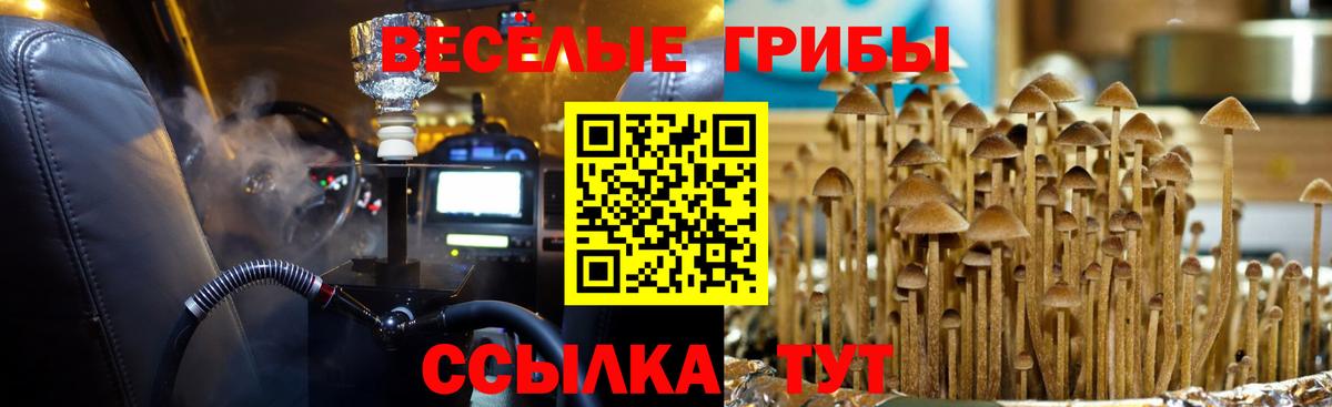 Псилоцибиновые грибы ЛСД Знаменск